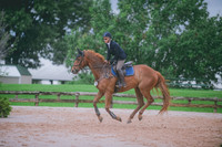 000_3184 copy
