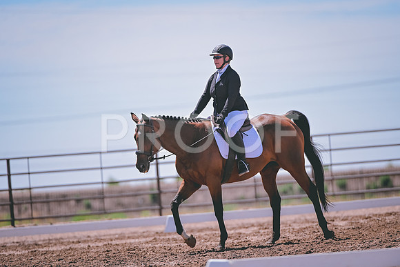 DSC_0391
