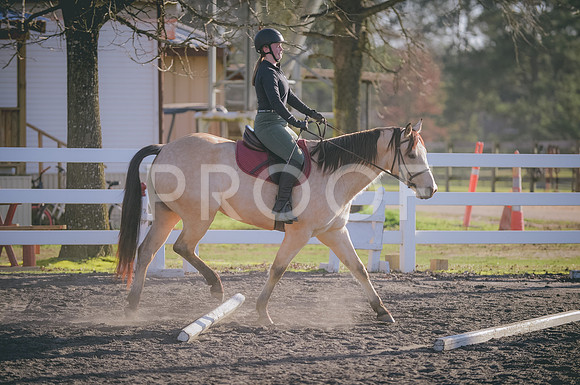 JJS_2921