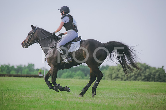 SWP_0241