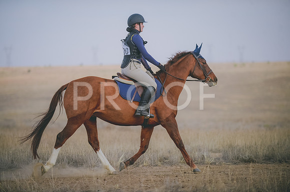 JJS_6270