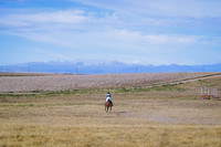 DSC_1931