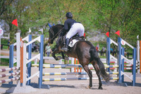 MEL_4646