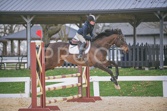 DSC_0357 copy