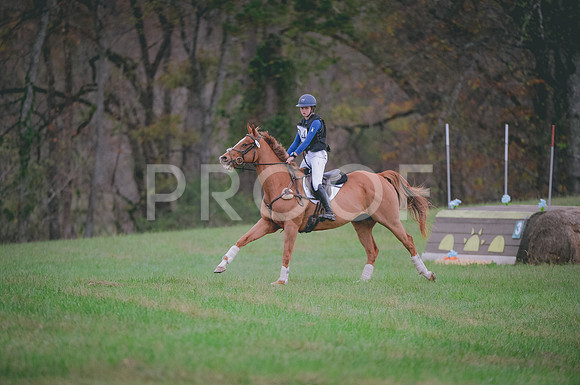 JJS_0245A