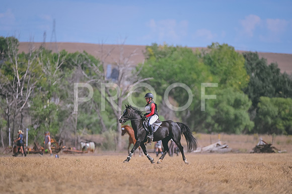 DSC_6127A