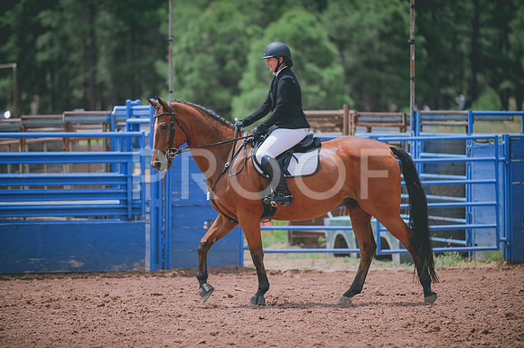 JJS_0345