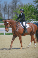 Meredith Payton/Manu Forti's Royal Blue