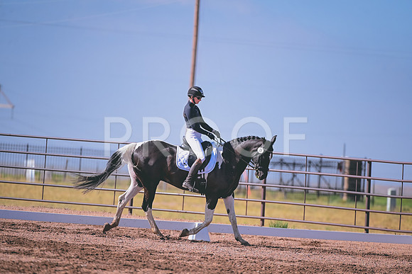 DSC_5132