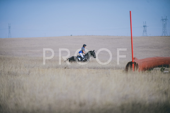JJS_0317