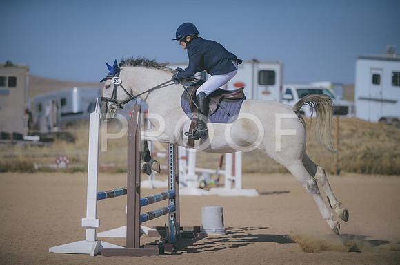 JJS_3872