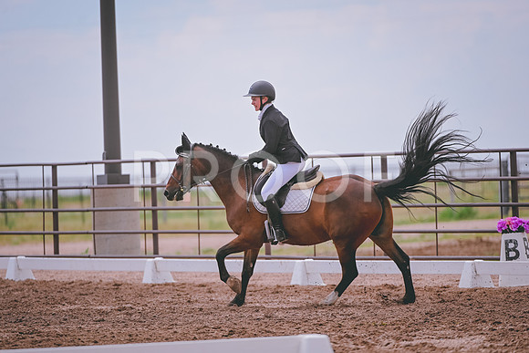 DSC_3887