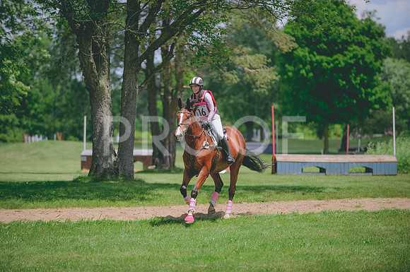 JJS_8194