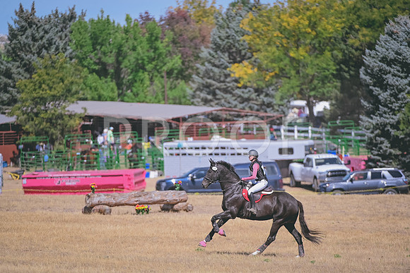 DSC_2412