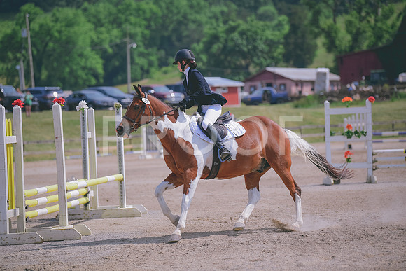 MEI_8195