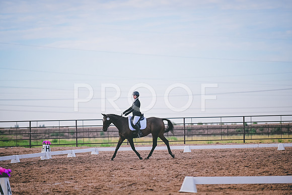 DSC_2102