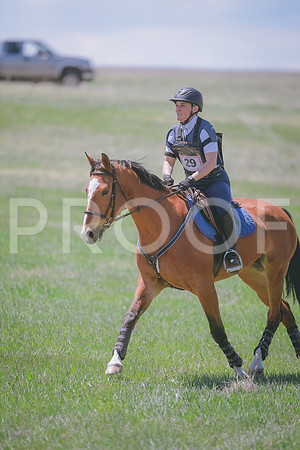 _DSC8997