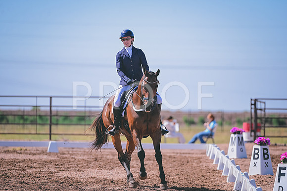 DSC_0481