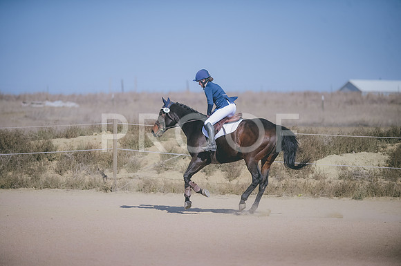 JJS_5798