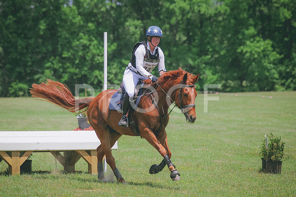 SWP_8827