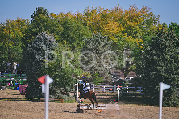 DSC_6965