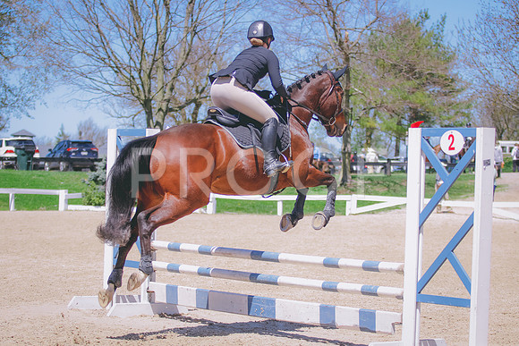 _C__2204 copy