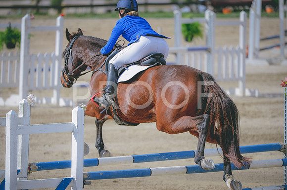JJS_1709