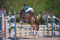 Meghan Cole-Fergus Bogel