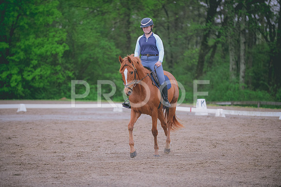 JJS_7005