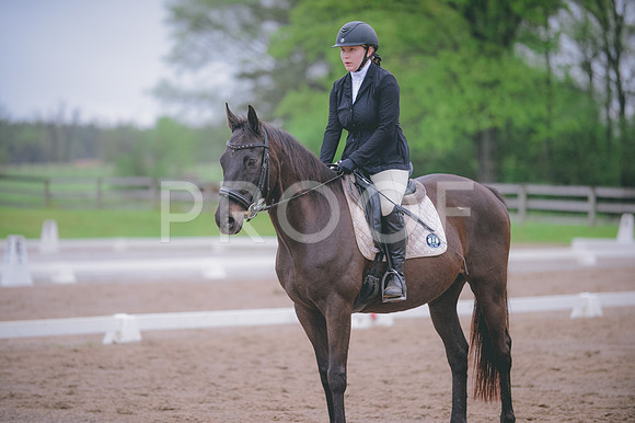 JJS_0290