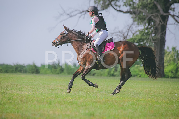 SWP_0221