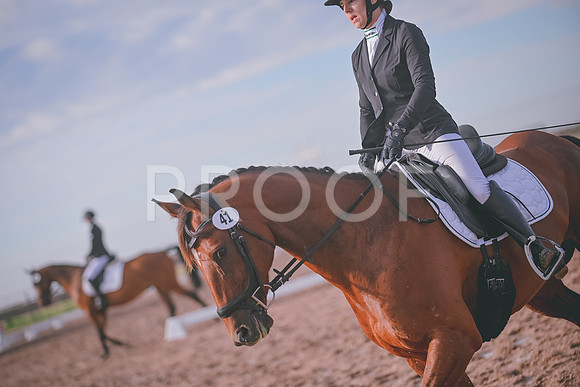 DSC_3358