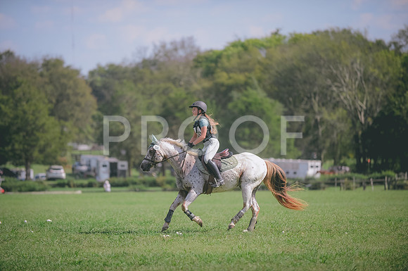 JJS_8401