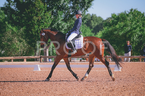 RWP_9505