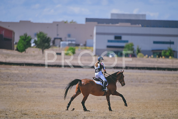 DSC_2114A