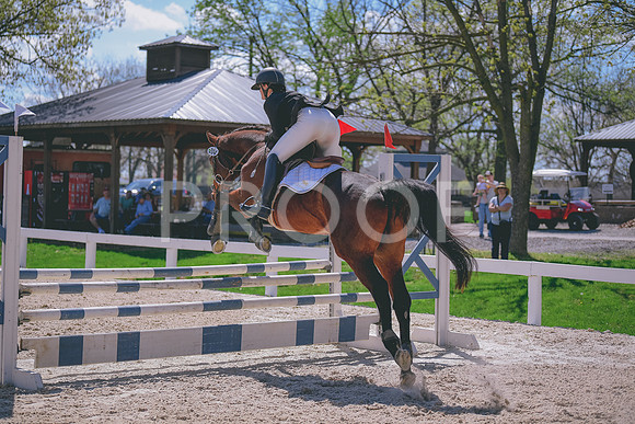 MEL_5608