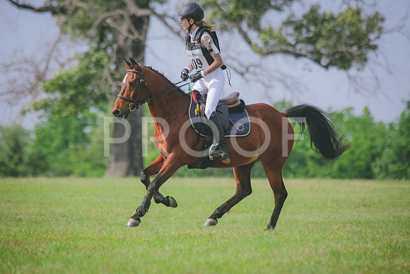 SWP_0110