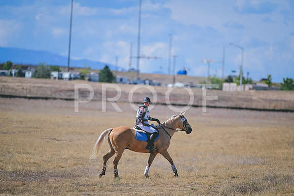 DSC_9715A