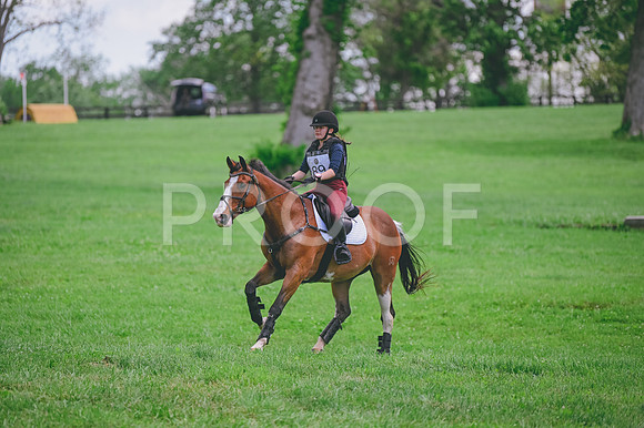 CRR_1181