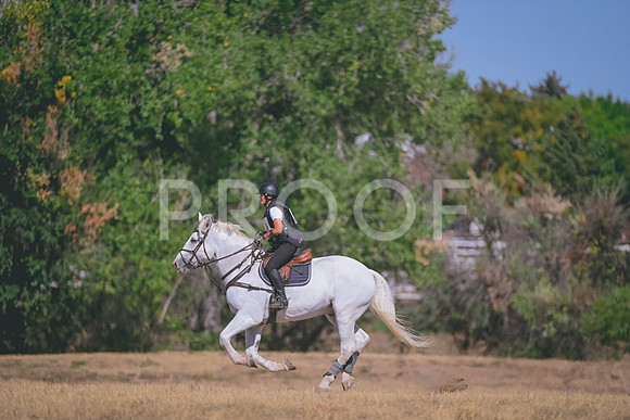 DSC_1617A