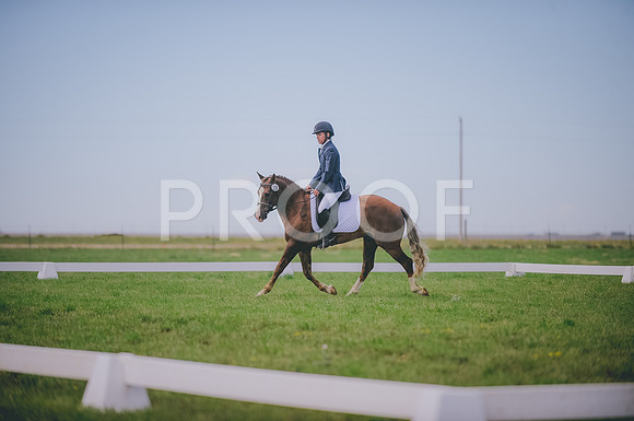 JJS_1335