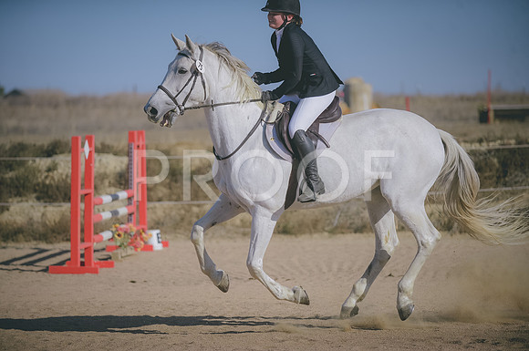 JJS_1045