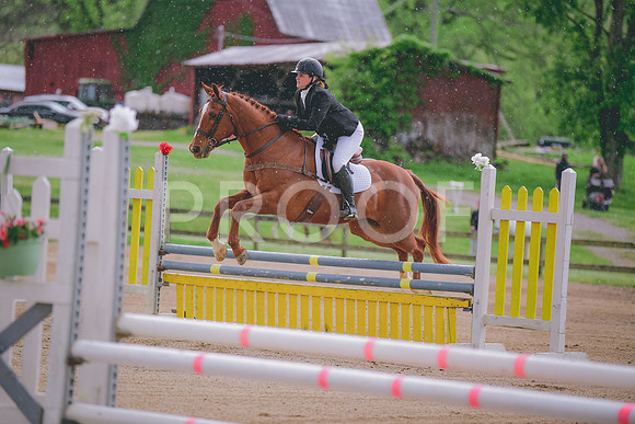 MEI_5020