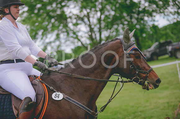 JJS_7918