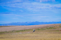 DSC_1215