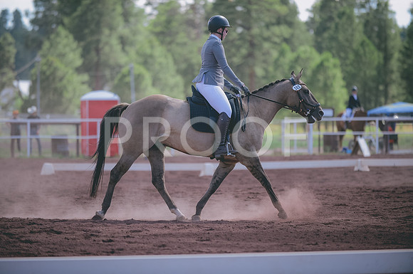 JJS_3399