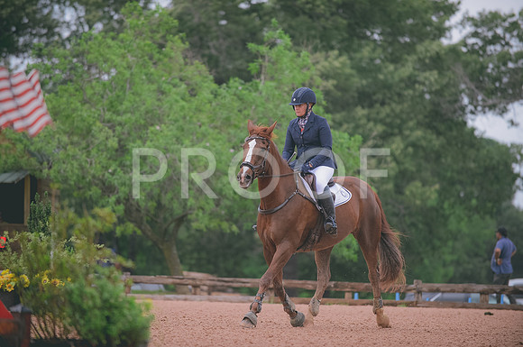 000_9545