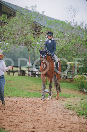 000_5431