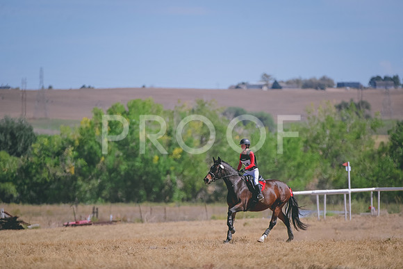 DSC_2197A