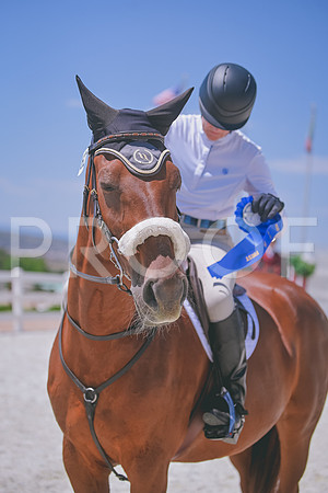 DSC_5834